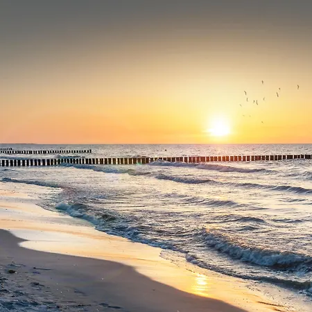 Precise Rügen&splash Erlebniswelt