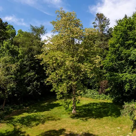 Holiday home Precise Ruegen - & Splash Erlebniswelt