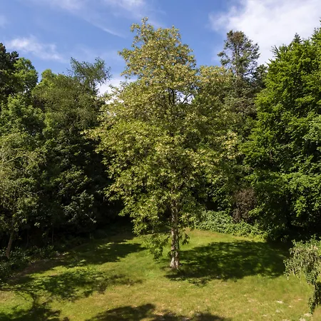 Precise Rügen&splash Erlebniswelt * Sagard